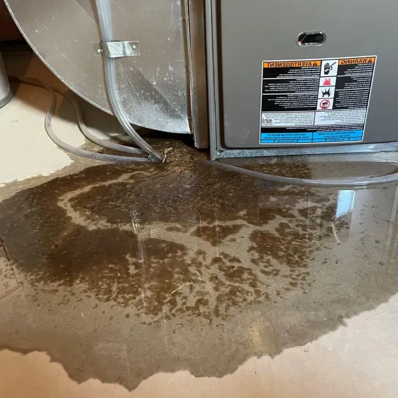 Pipe Burst and Leak Restoration in Paulding County, OH