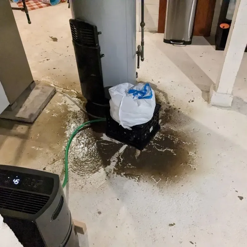 Sewage Backup Cleanup Service in Paulding County, OH
